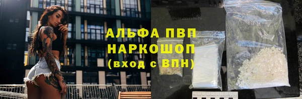 прущие грибы Покачи