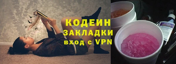 прущие грибы Покачи