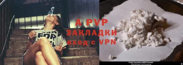 стаф Пролетарск