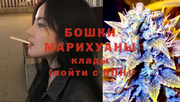 прущие грибы Покачи