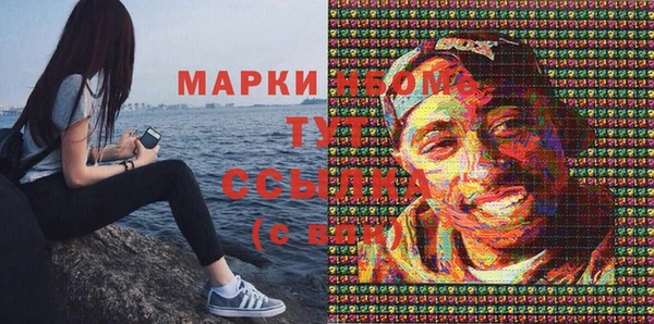 прущие грибы Покачи