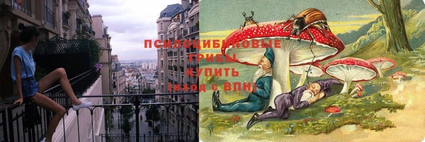 прущие грибы Покачи