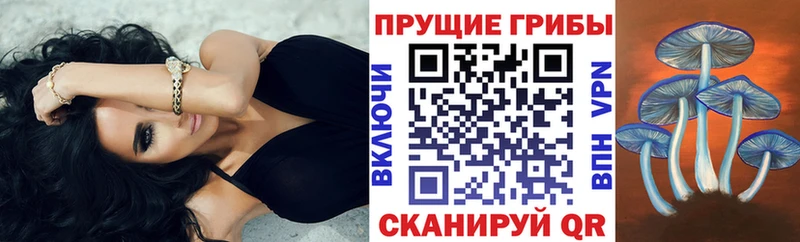 Псилоцибиновые грибы Magic Shrooms  Купить закладки  Торжок 